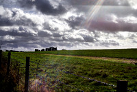 Stonehenge, Dartmoor & Plymouth